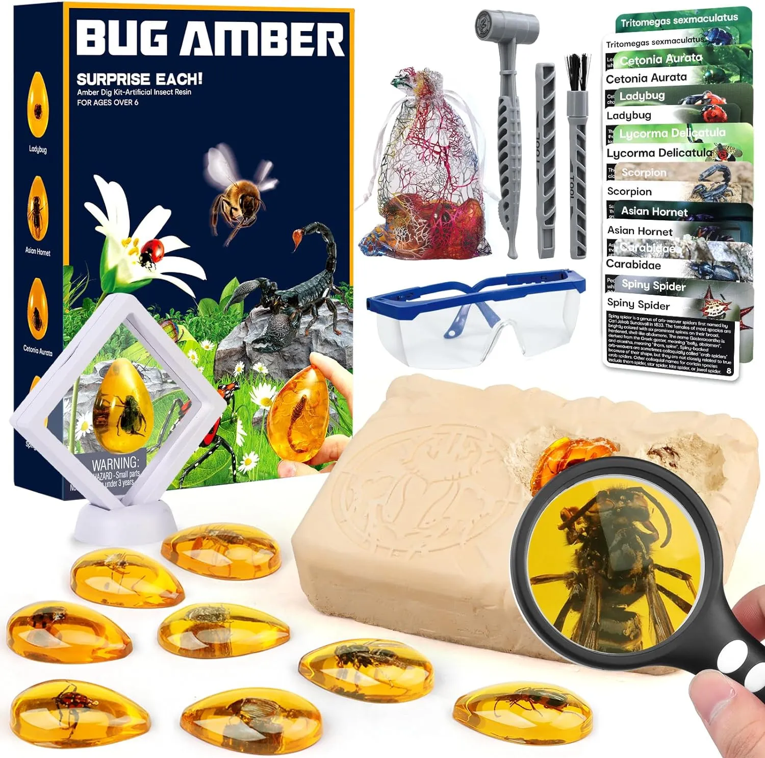 Amber Dig Kit - Insects in Resin, 8 Insects Specimens Excavation Kit, Gemstone Bugs for Kids, Fossil Bug Toys Dig Kits for Bugs Collection, Insect Toys for Boys Girls 6 and up Year Old Birthday Gifts