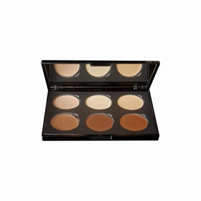 Blush Makeup Cosmetics Contour Palette - 6 Well Cream
