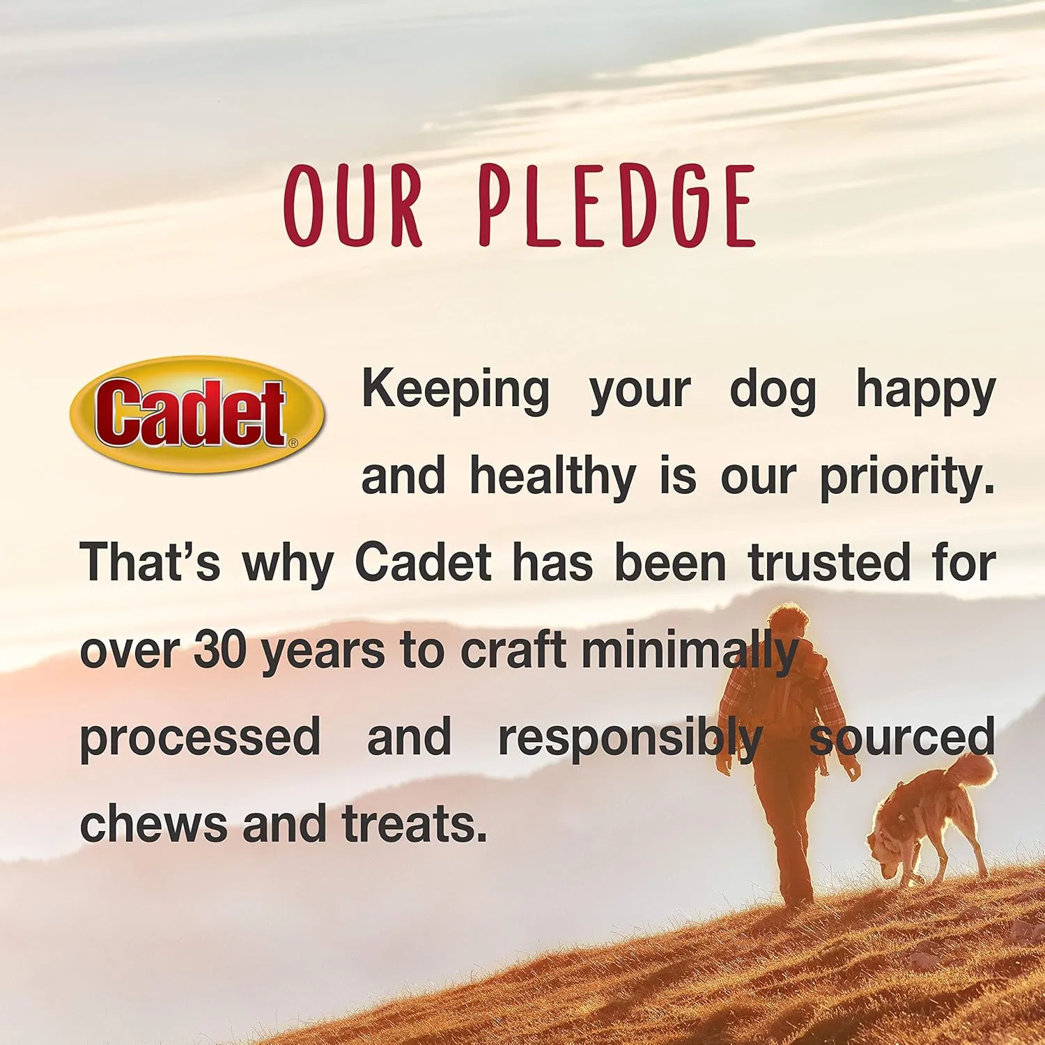 Cadet Premium Grade Beef Hide for Dogs, Long Lasting Rawhide Twist Chew Sticks, Natural Dog Chews, 5 Inch Dog Bones (34 Count)