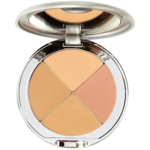 Christina Cosmetics Perfect Pigment 3 Compact: One Minute Miracle Makeup
