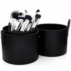 Crown Pro 15 PC Pro Brush Set W/Tube 901T