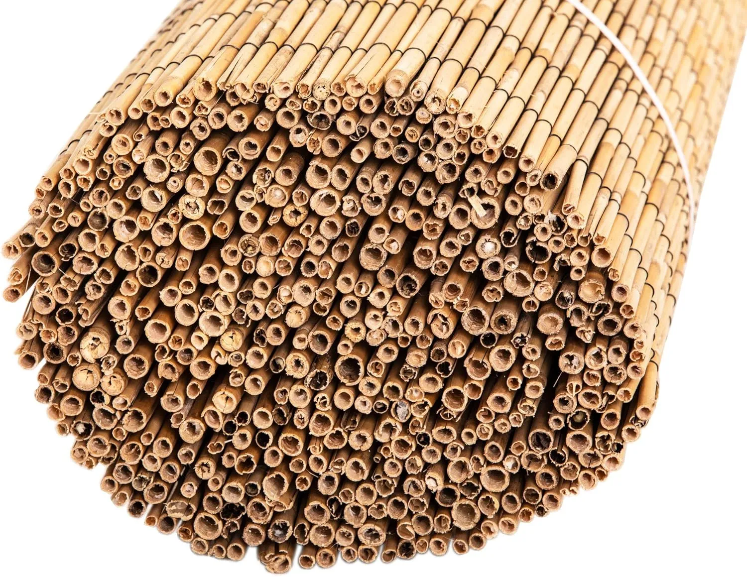 FOREVER BAMBOO Jumbo Reed Bamboo Screen Fencing Privacy Fence Backyard Divider Decorative Reed Garden Fencing, Natural 6 ft H x 16 ft L