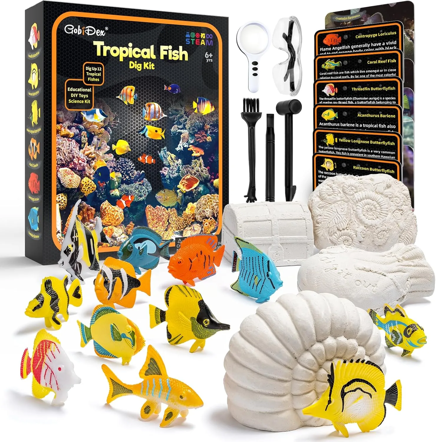 GobiDex Ocean Life Fish Dig Kit, Excavate 12 Simulated Marine Fish Science Kits for Kids Age 6-8-12, STEM Learning & Education Toys, Party Favors Gift for Kids Boys & Girls Age 6  Year Old