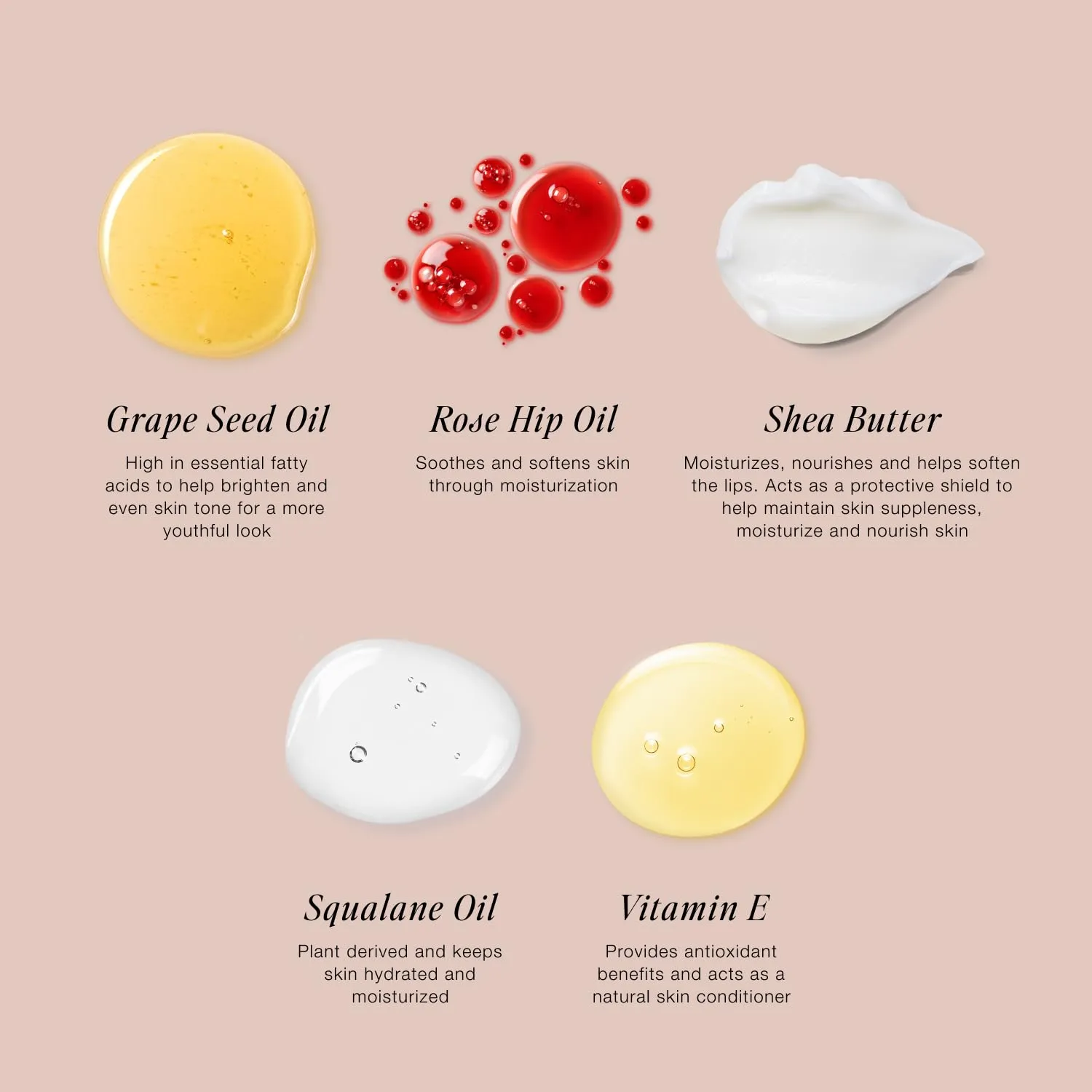 Jouer Blush & Bloom Cheek   Lip Duo - Hydrating Cream Blush Stick for Lip and Cheek Tint - Moisturizing Rose Hip and Squalane Oil Formula, Celebrate