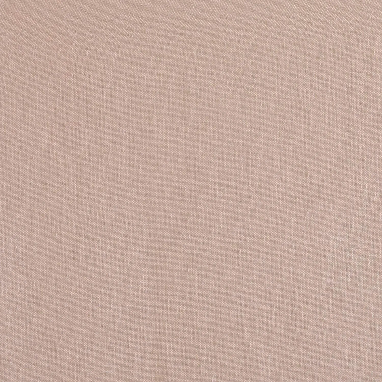 Madison Park Rosette Floral Embellished Cuff Tab Top Solid Single Window Treatments Sheer Curtain Panel Drape for Bedroom Living Room and Dorm, 50"x63", Blush