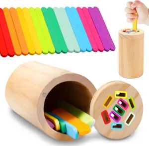 Montessori Toys for 1 2 3 Year Old Color Sorting Sensory Toys Fine Motor Skill Toys for 1-2 Year Old Learning Matching Sorting Games Toys for 12 18 Month Old Baby Girls Boys