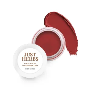 Organic Creamy Matte 3 in 1 Lip & Cheek Tint, Blush For Women - SLS,Chemical & Paraben Free - 0.14 fl. oz. (Brick Red)