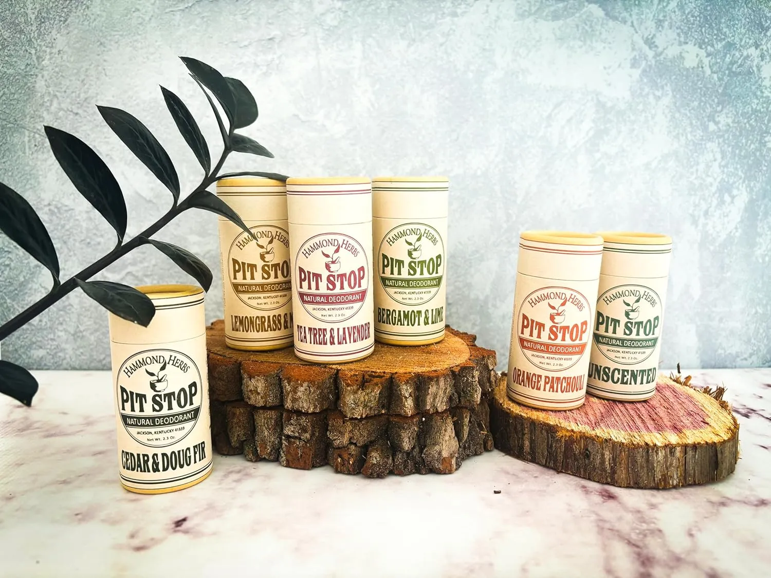 PIT STOP Deodorant - Aluminum-Free, Plastic-Free, All-Natural Odor Control (Bergamot & Lime)