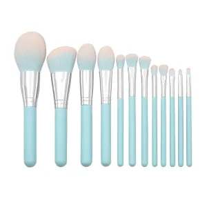 Powder Light Brush Makeup Set Wooden Brush Blue Handle 12 Pcs Brush Trending Items (Multicolor, One Size)