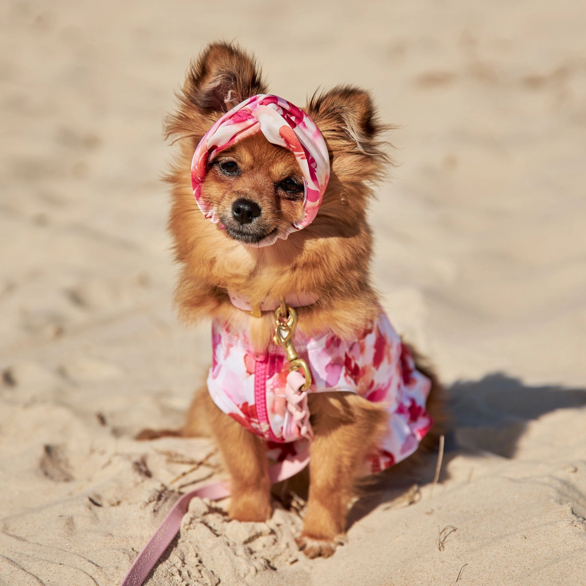 Sunset Blush Dog Twist Headband