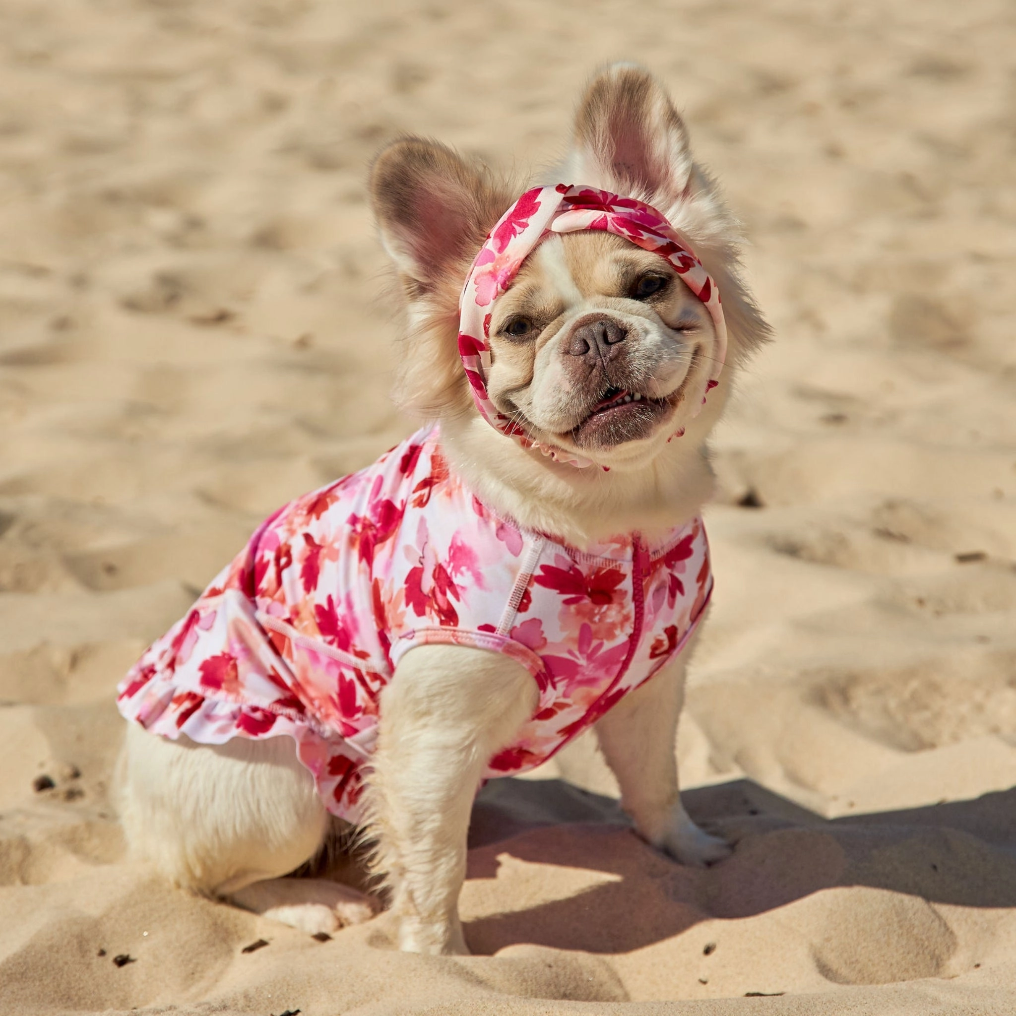 Sunset Blush Dog Twist Headband