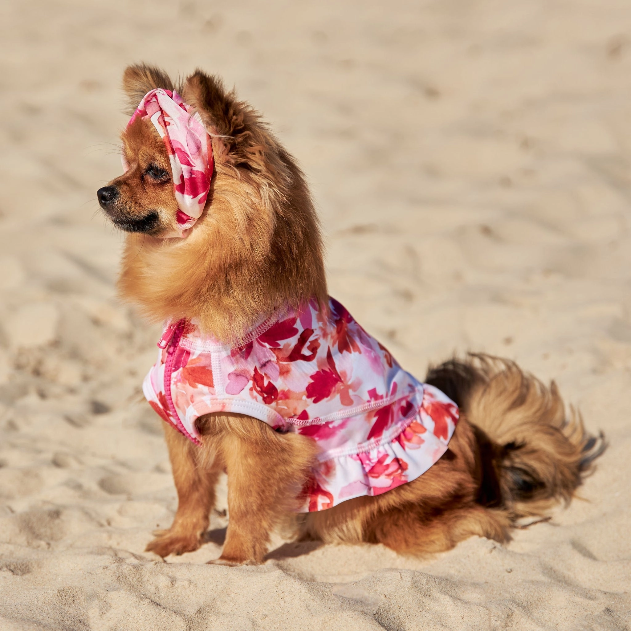 Sunset Blush Dog Twist Headband